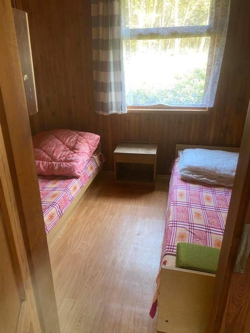 Domki Szumi Las Mrzeżyno Eksteriør billede