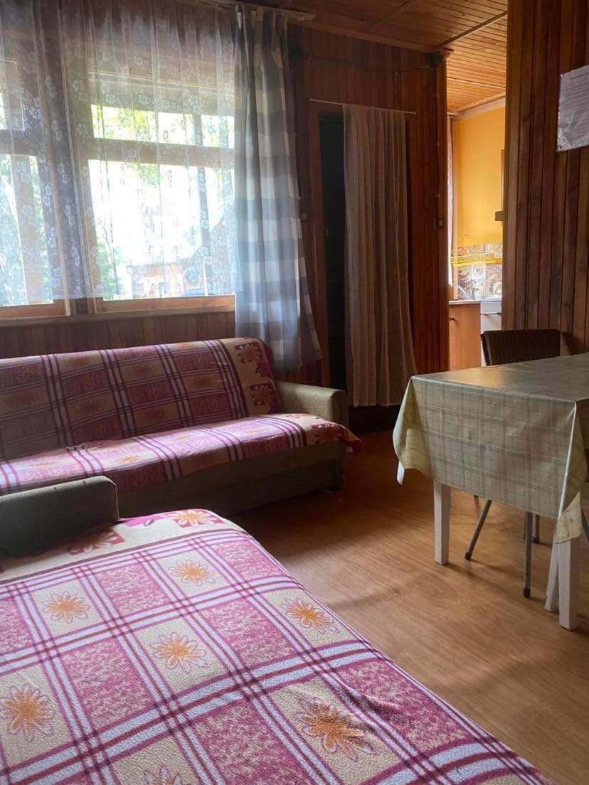Domki Szumi Las Mrzeżyno Eksteriør billede